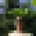  ,   , 43 ,   ,   , c 