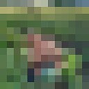  ,   , 65 ,   c 