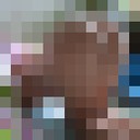  ,   , 52 ,   , 