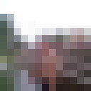  ,   , 51 ,   