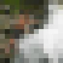  ,   Artem, 33 ,     , c 