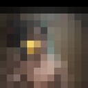  -,   , 26 ,   ,   , c 