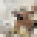 ���������� ���������, ���� ������� ����, 31 ���, ������������ ��� ������, ����� � ���������, c�������� ���������