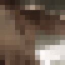  ,   Sahzat, 21 ,   ,   