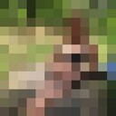  ,   , 52 ,   ,   , c , 