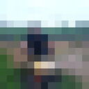  ,   , 50 ,   ,   , c , 