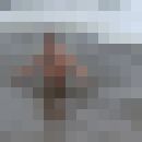  ,   Deni, 35 ,   