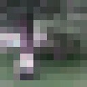 ���������� �����-���������, ���� ������� ���������, 35 ���, ������������ ��� ������, ����� � ���������, c�������� ���������