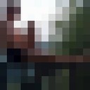 ���������� �����������, ���� ������� ��������, 44 ����, ������������ ��� ������, ����� � ���������, c�������� ���������