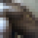  ,   , 46 ,   ,   , c 