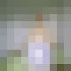   ,    , 41 ,   ,   , c , 