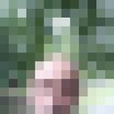 ������� ����