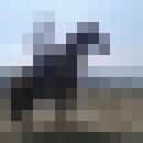 ���������� ������-����, ���� ������� ��������, 31 ���, ������������ ��� ������