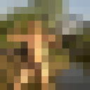  -,   , 43 ,   ,   , c 