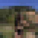 ���������� �����-���������, ���� ������� ���������, 28 ���, ������������ ��� c�������� ���������