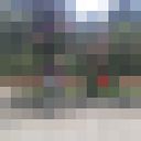  ,   Fhilip, 41 ,   