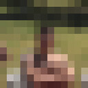  ,   , 27 ,   c 