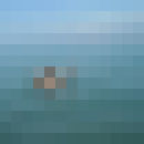 ���������� ������, ���� ������� ����, 36 ���, ������������ ��� ������, ����� � ���������, c�������� ���������