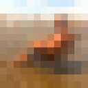  -,   , 41 ,   ,   