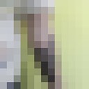  ,    , 31 ,   ,   , c , 