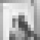 ���������� ����������, ���� ������� �����, 29 ���, ������������ ��� ������, ����� � ���������