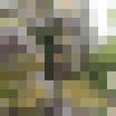  ,   Neve, 60 ,     , c , 