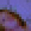  ,   , 21 ,     