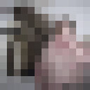 ���������� ���������, ���� ������� Ig, 35 ���, ������������ 