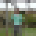  ,   , 44 ,  