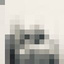  ,   , 21 ,     , c 