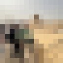 ���������� ���������� �����, ���� ������� ���������, 32 ����, ������������ ��� ������, ����� � ���������