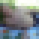  ,   , 50 ,  