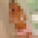  -,   , 33 ,   ,   , c , 