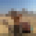  ,   Maks, 37 ,   ,   , c 