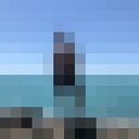 ���������� �������, ���� ������� �����, 32 ����, ������������ ��� ������, ����� � ���������, c�������� ���������, ���������