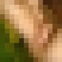  ,   , 29 ,   ,   , c , 