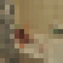  ,   Saba, 44 ,   ,   , c , 