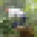  ,   , 54 ,   ,   , 