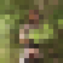 ,   , 47 ,   , 