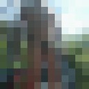 ,   , 74 ,   