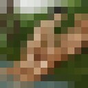 ���������� �����, ���� ������� ����, 38 ���, ������������ ��� ����� � ���������, c�������� ���������