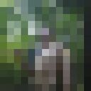 ���������� ������, ���� ������� ����������, 39 ���, ������������ ��� ������, ����� � ���������, c�������� ���������