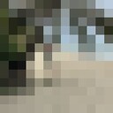 ���������� ������, ���� ������� ���� �������, 38 ���, ������������ ��� ������, ����� � ���������, c�������� ���������