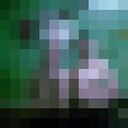 ���������� �����, ���� ������� �����, 26 ���, ������������ ��� ������, ����� � ���������