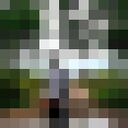 ���������� ������, ���� ����� ����, 21 ���, ������������ ��� ������, ����� � ���������