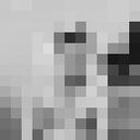 ���������� ���������, ���� ����� �����, 23 ����, ������������ ��� ������, ����� � ���������