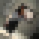  --,   , 55 ,   
