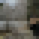  -,   , 21 ,   ,   