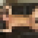 ���������� ���������, ���� ������� �����, 39 ���, ������������ 