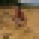  ,   Genadij, 51 ,     , c 